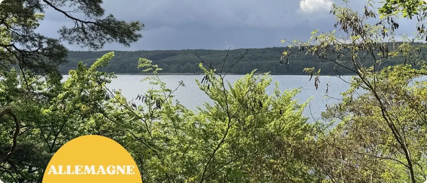 Le bleu sauvage du Tollensesee : notre randonnée mouvementée au sud de Neubrandenburg