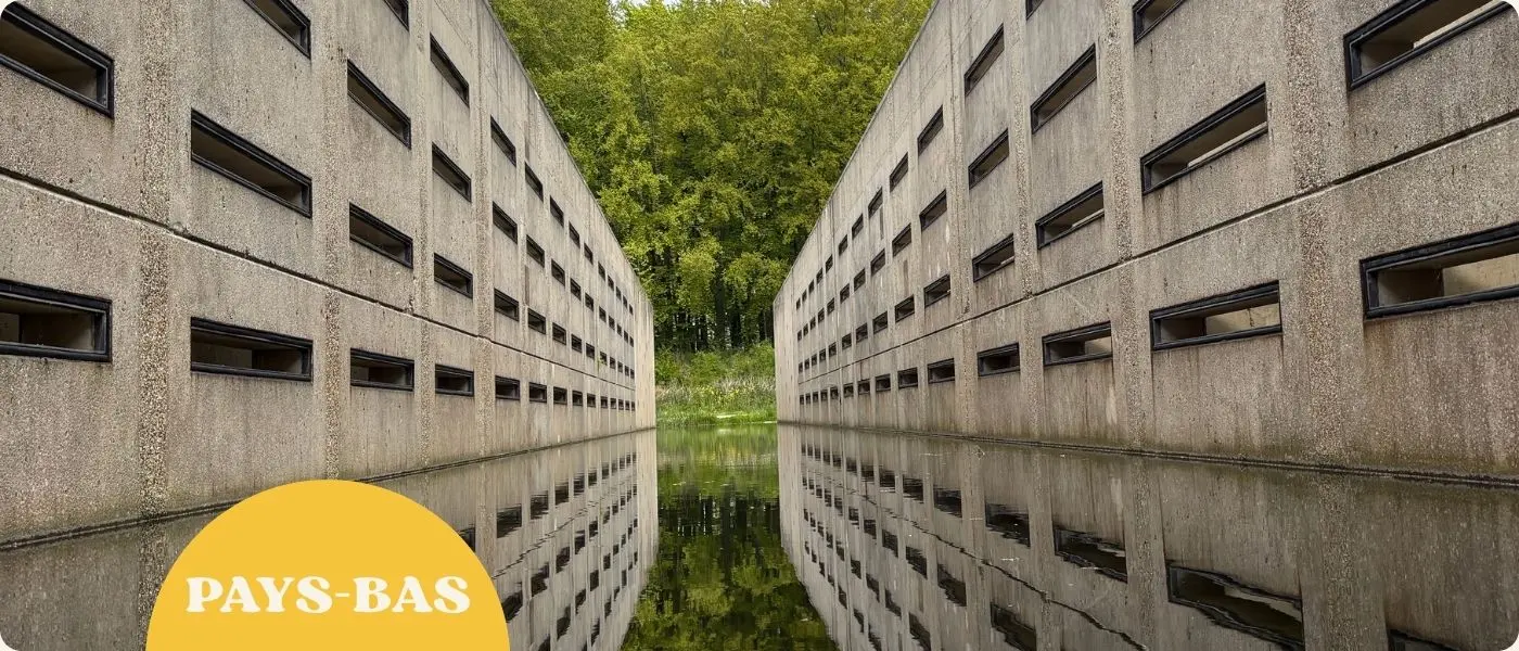 le waterloopbos : quand la nature reprend ses droits sur les tests d'ingénieurie hollandaise