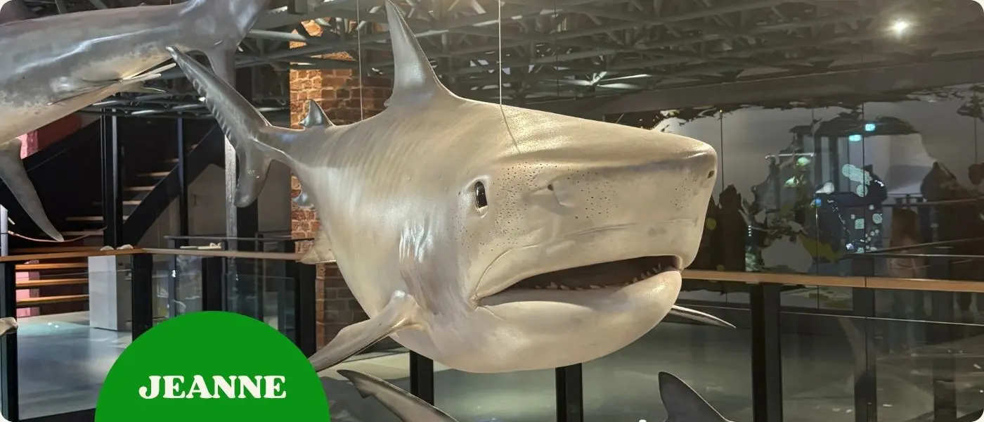 Je vous emmène au Meeresmuseum une église transformée en aquarium !