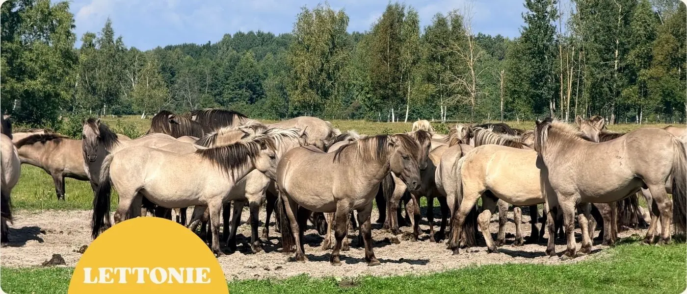 Visiter la réserve naturelle de Pape