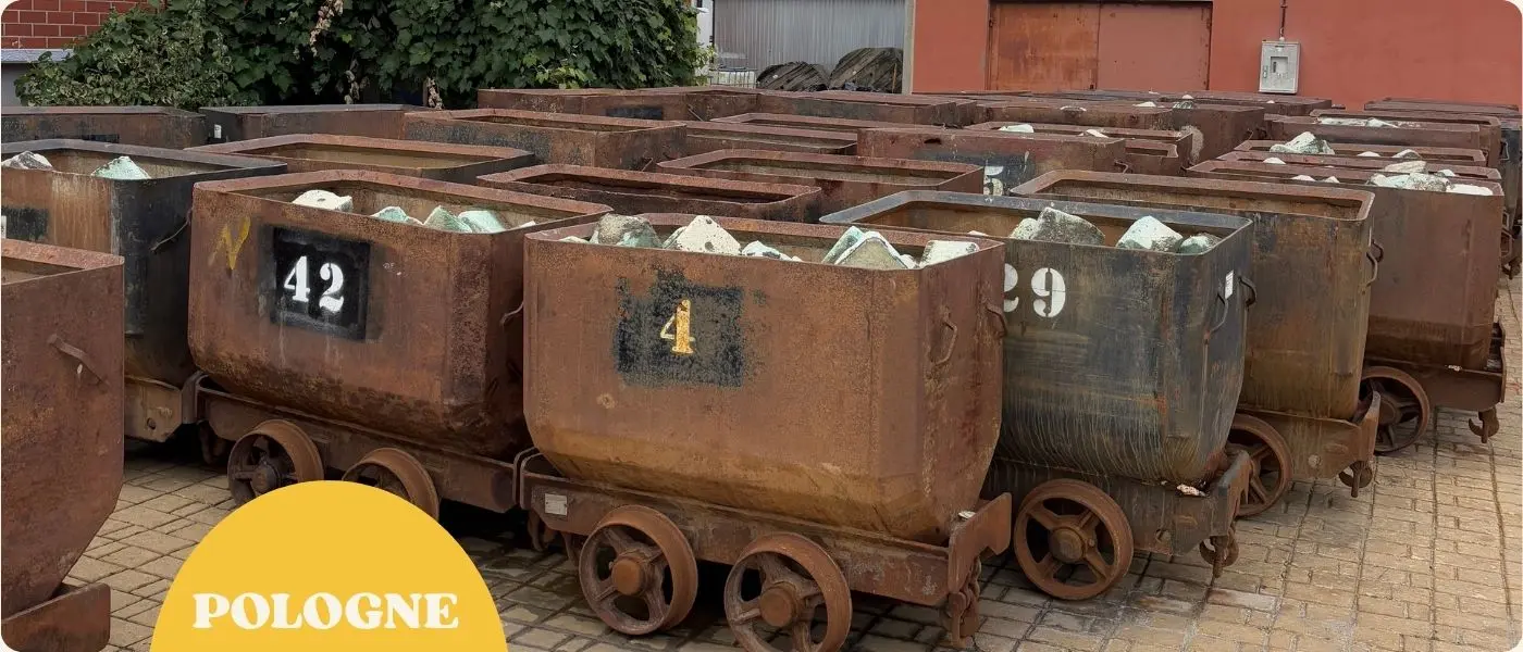 Le sel est l'or blanc de la Pologne, notamment avec l'exploitation de la mine de sel de Bochnia